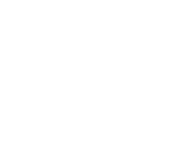 The Fat Goose Cafe